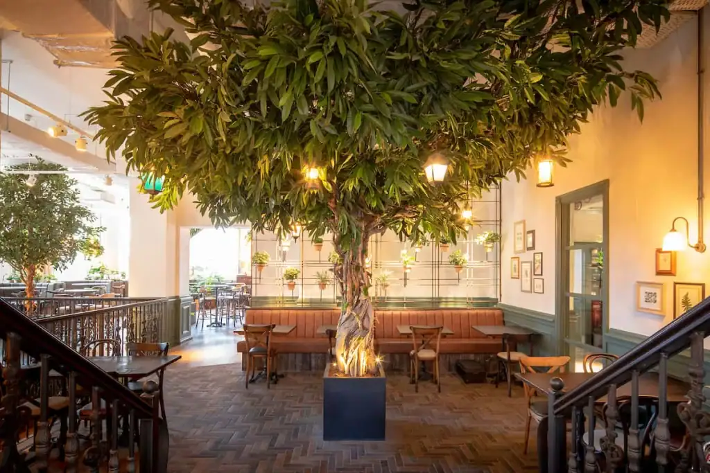 Bespoke tree installation at The Botanist - Ipswich
