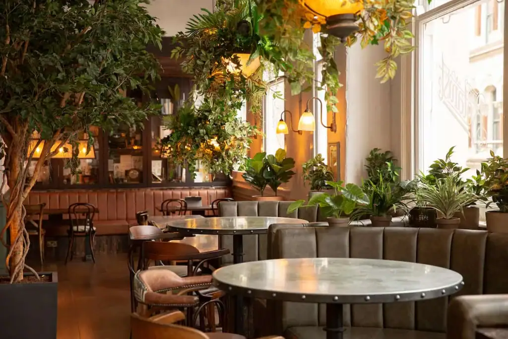 Custom plant design at The Botanist