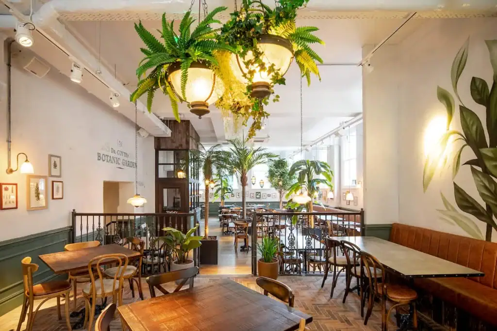 The Botanist, Ipswich lighting plant displays