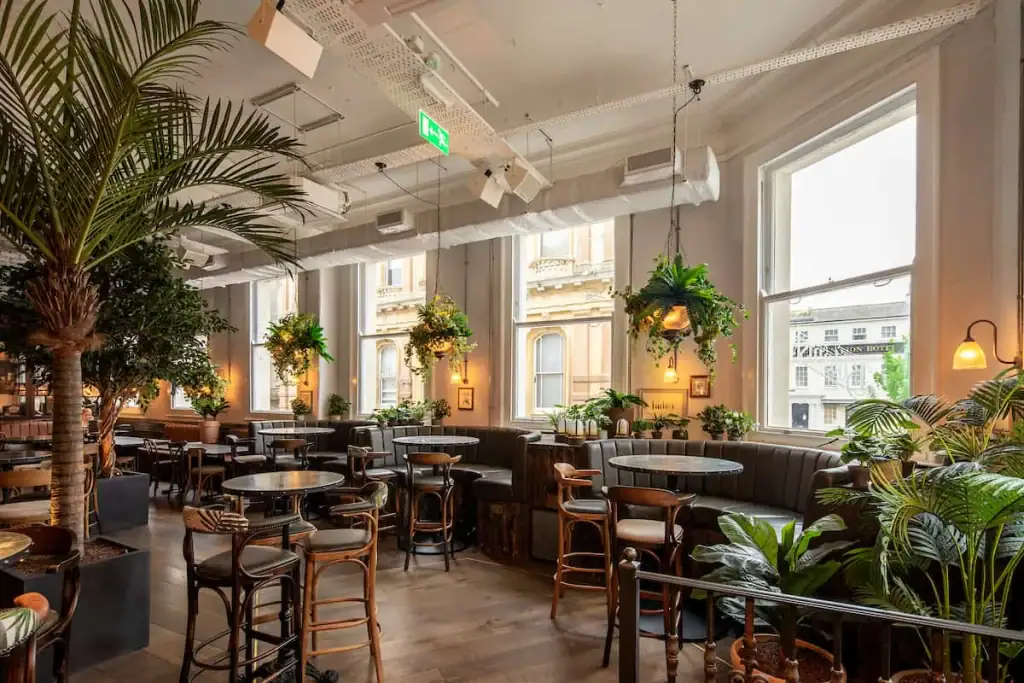 Hanging planters and trailing plants in The Botanist dining room