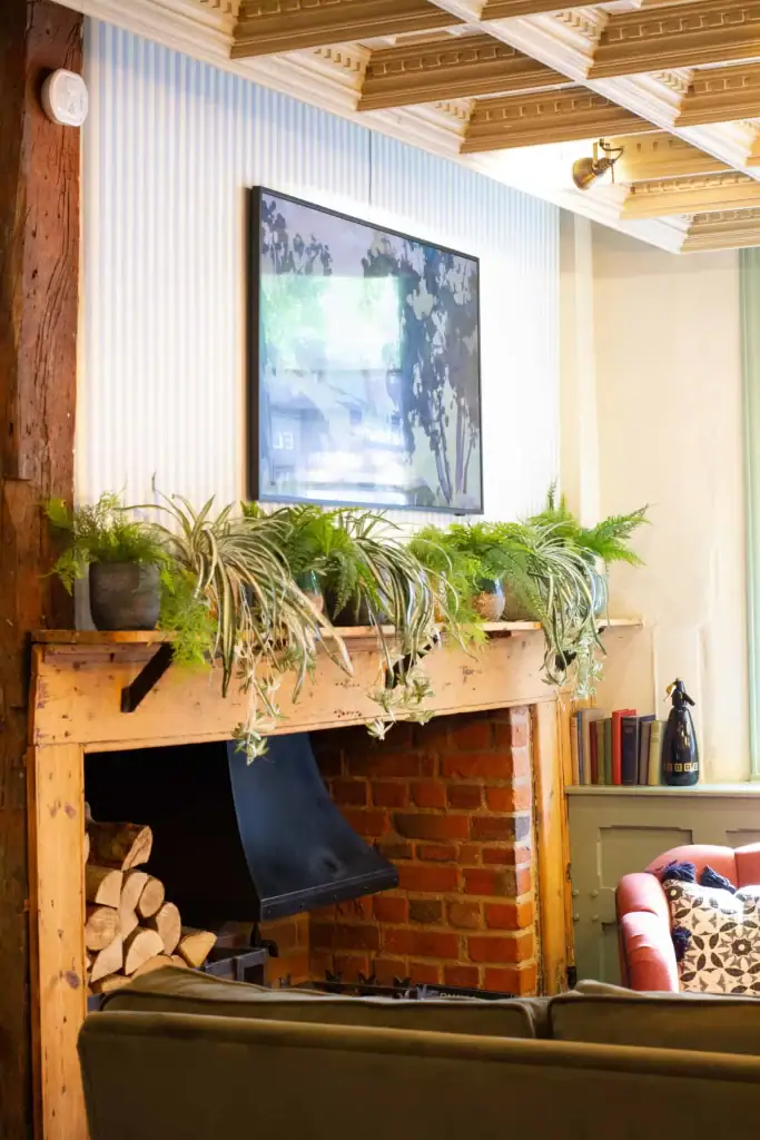 row of artificial plants in pots above fireplace at the bull henley