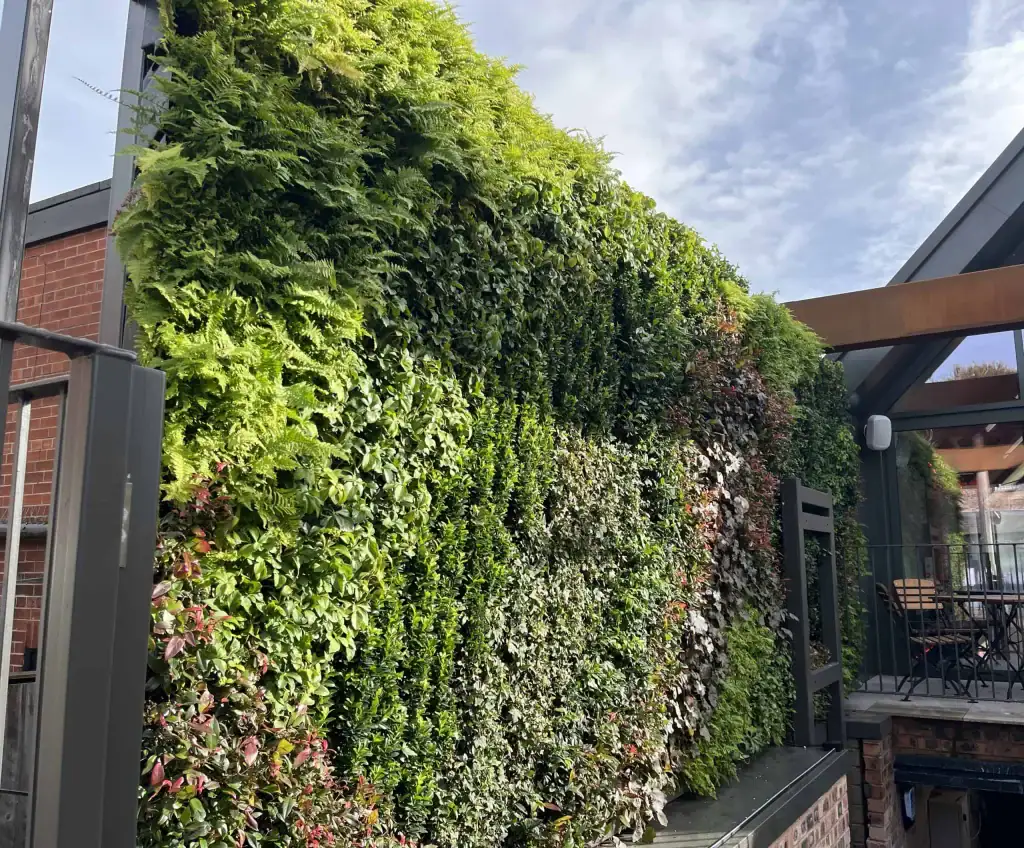 Altrincham Restaurant with HYVERT living wall to external terrace area