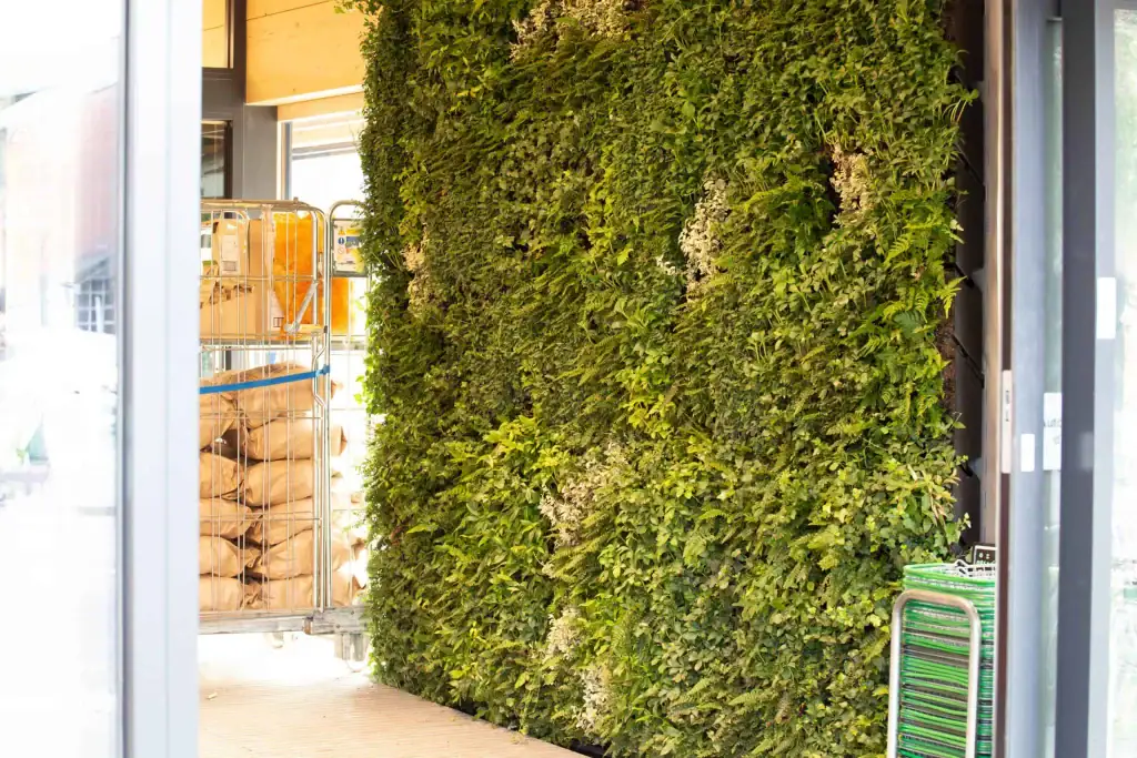 HYVERT living wall in the entrance of Unicorn Grocery Store who sell local and ethically sourced and environmentally friendly produce