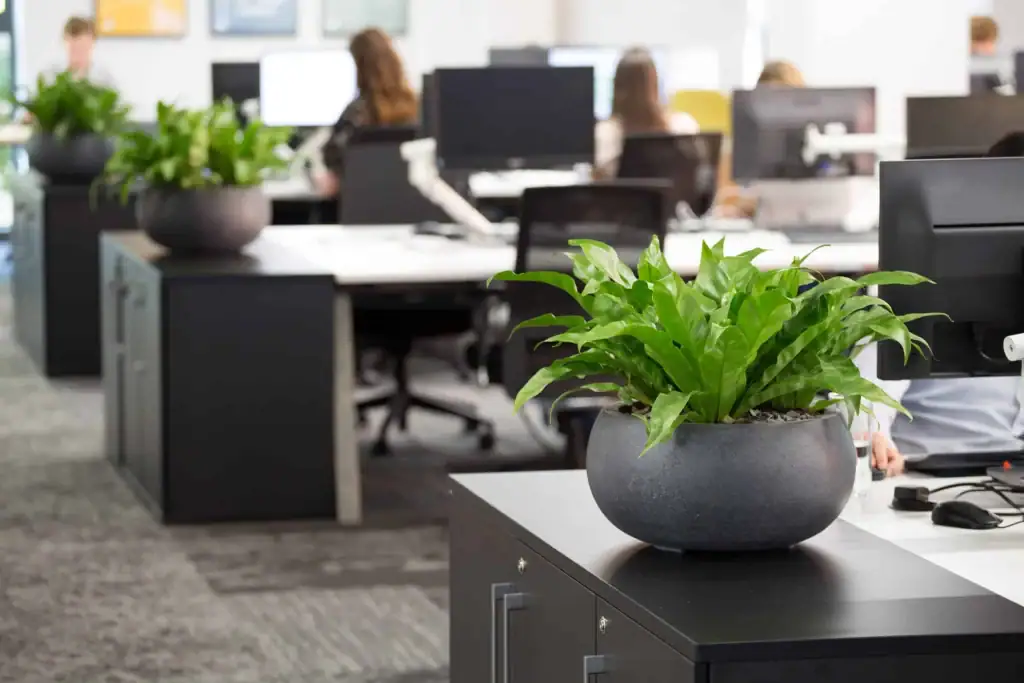 Office and workspace planting scheme Bruntwood Union Building