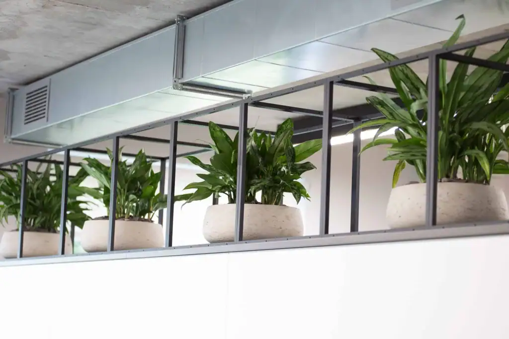 Creative plant displays at Bruntwood, Union, Manchester