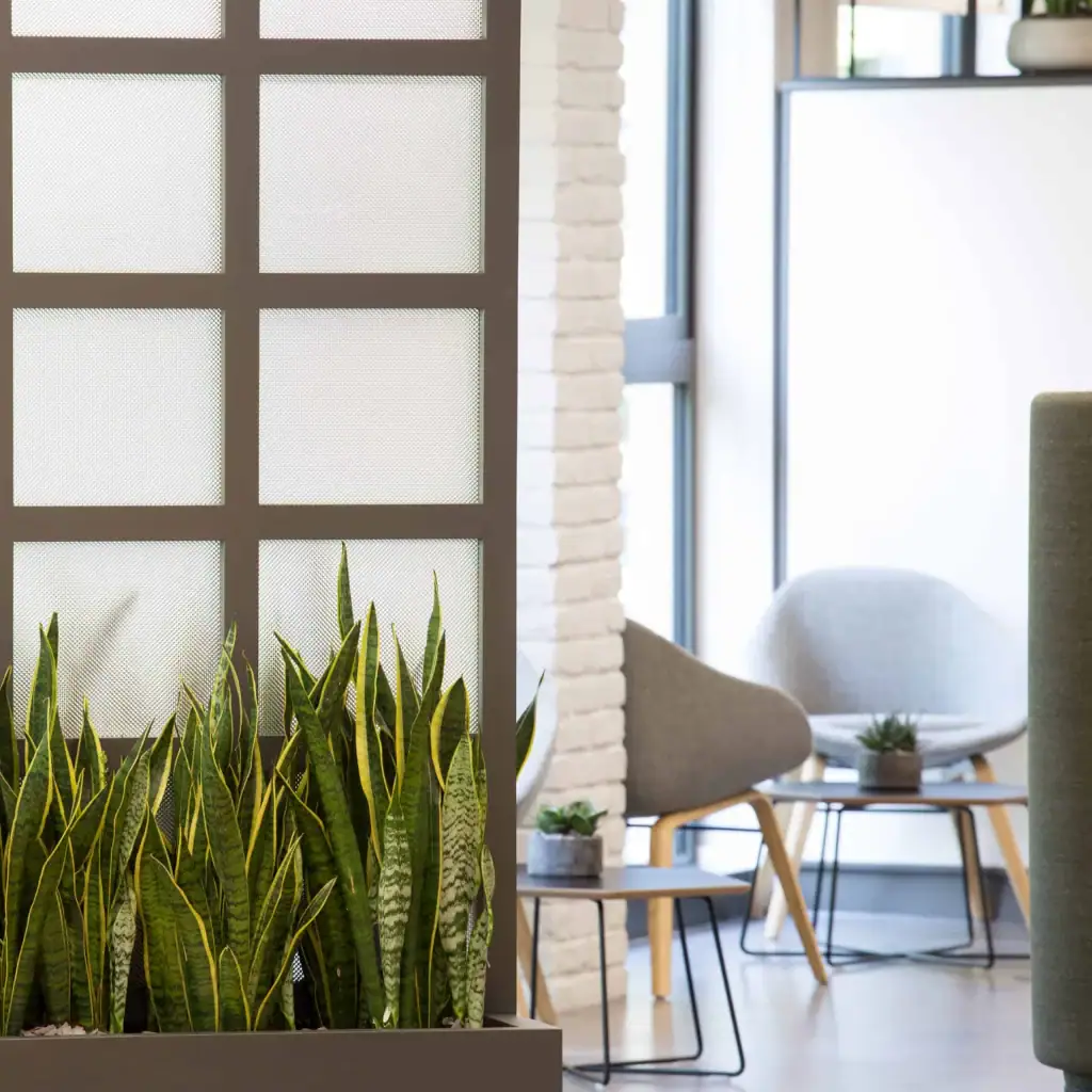 Office plant displays by I Want Plants for Bruntwood Union Building