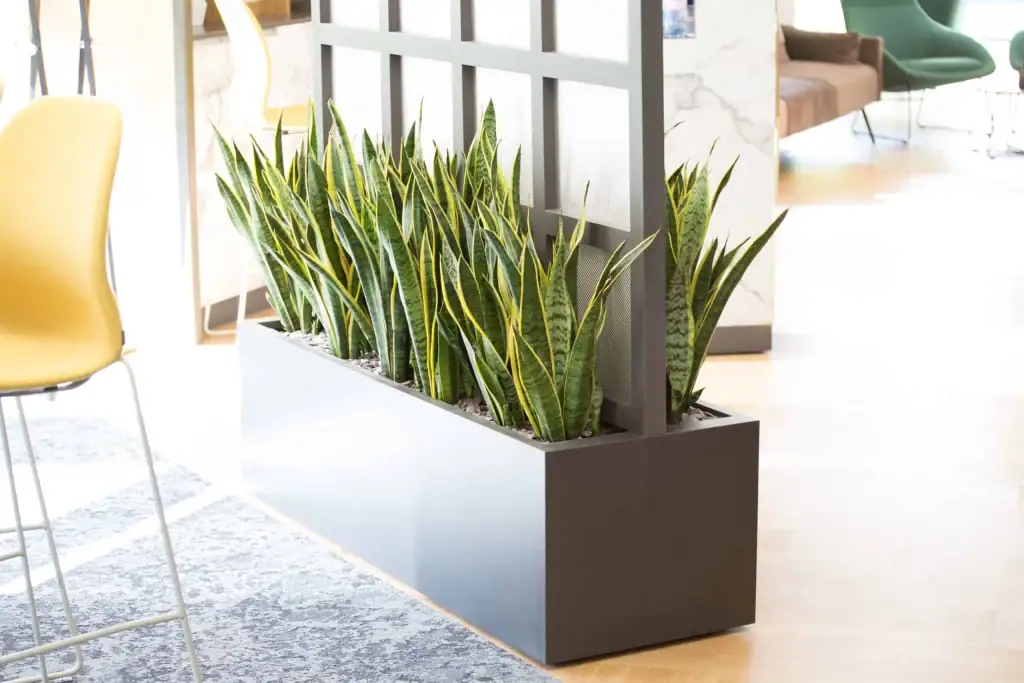 Bruntwood Union Building's trough planting scheme