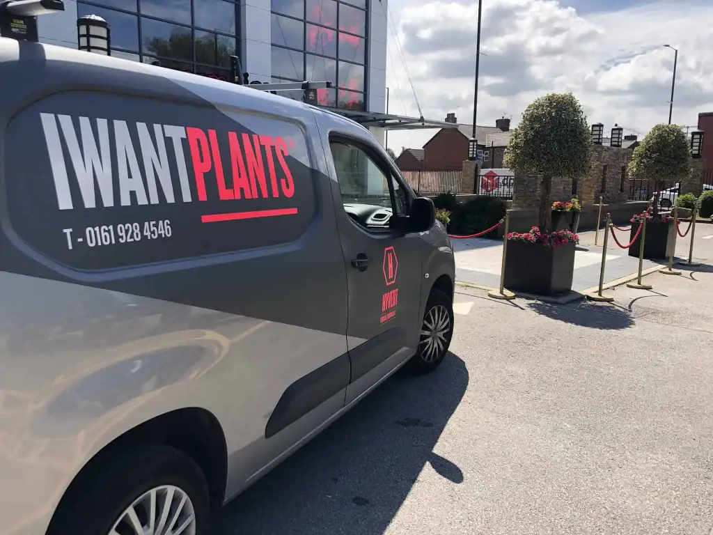I Want Plants installing custom planting at Vermillion, Manchester