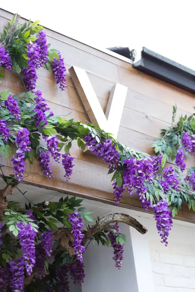 Wisteria at Victors