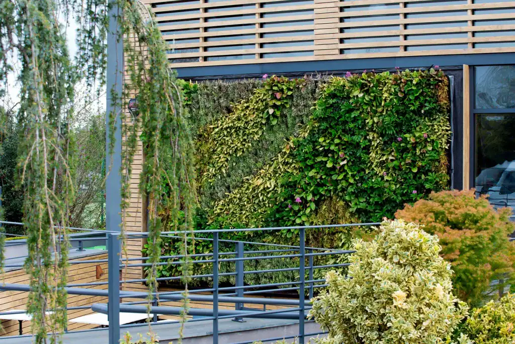Vita Group Alderley Park HYVERT living wall
