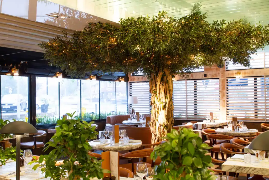 Custom-made replica olive tree at Cibo Wilmslow