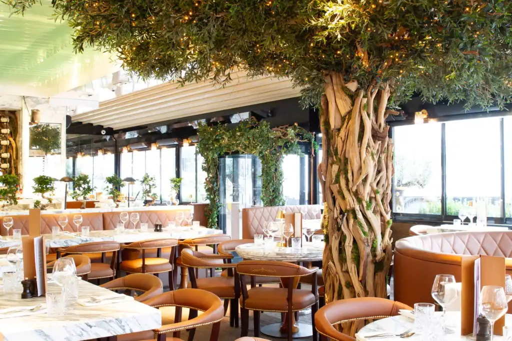 Bespoke curly wood trees and foliage created for Cibo Wilmslow