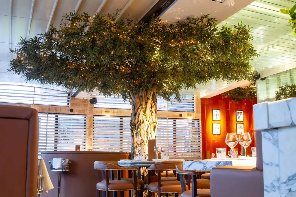 Replica olive tree with canopy in Cibo restaurant in Wilmslow