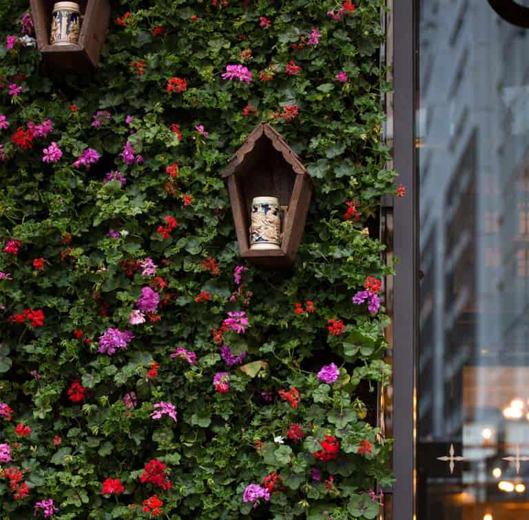 alberts schloss manchester floral living wall with Geraniums