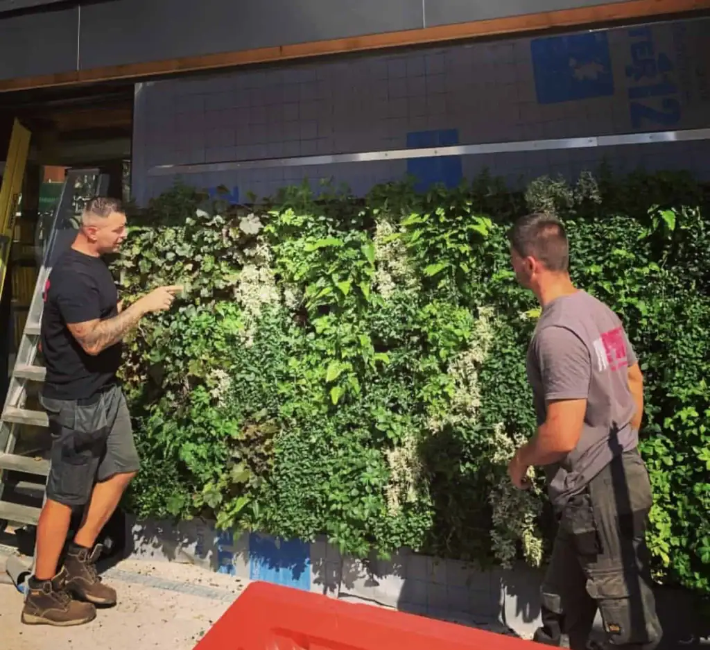 Custom bespoke green living wall installation by I Want Plants at Unicorn Grocery Store