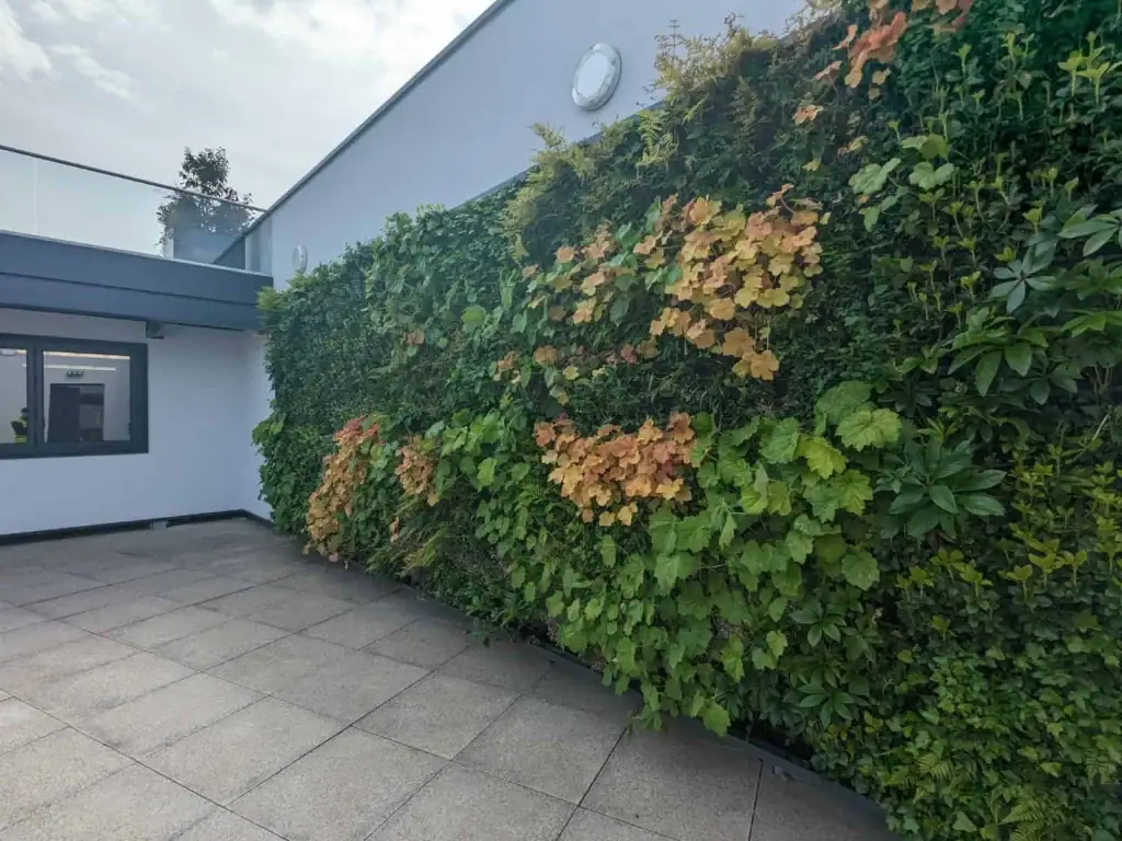 x and y roof terrace with HYVERT living wall including burnt orange Heuchera