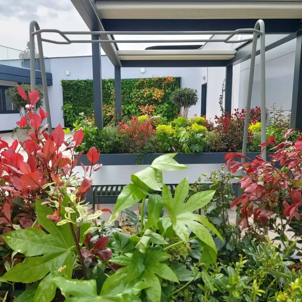 manchester workspace roof terrace with live plants and hyvert living wall