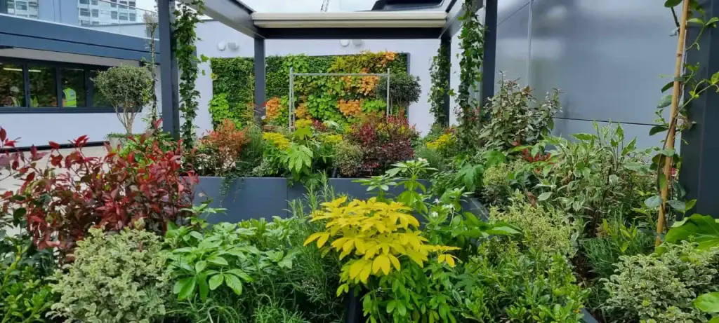 x and y manchester roof terrace with live plants and hyvert living wall