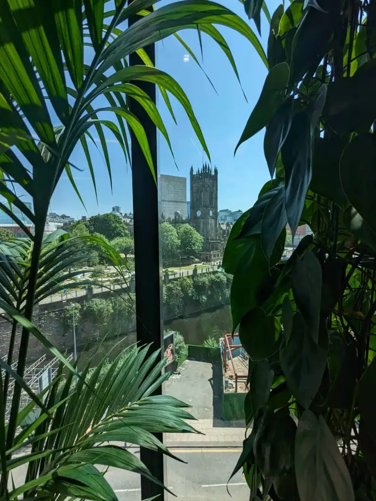 Live interior planting displays at x and y manchester with views of Manchester Cathedral