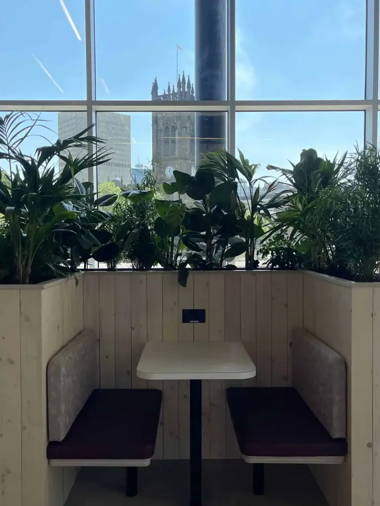 live plant displays above booth seating at x and y manchester