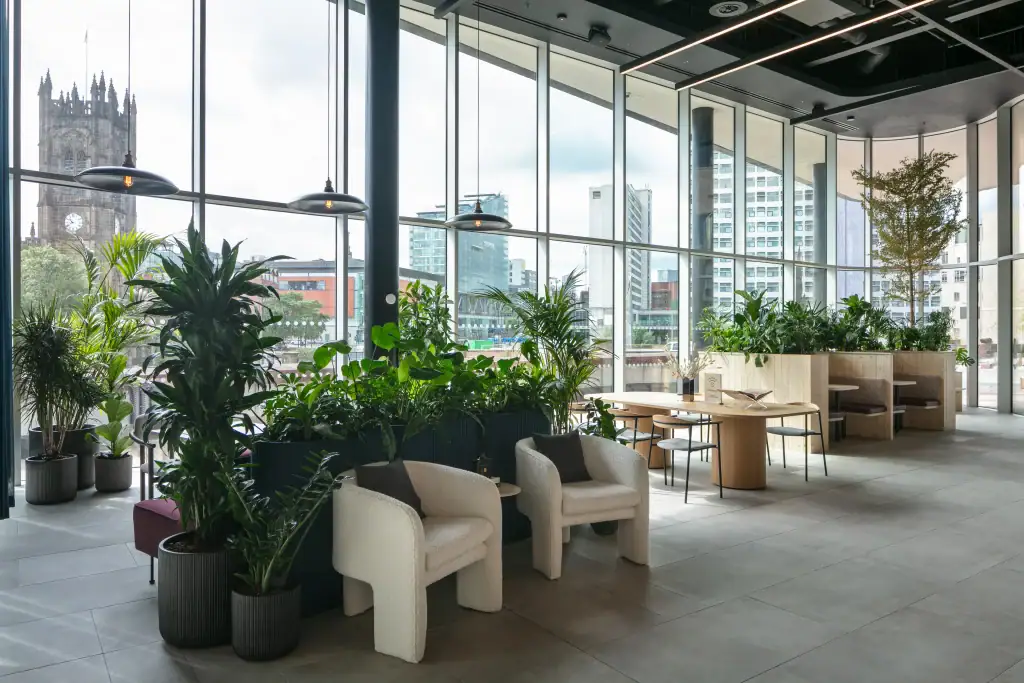 x+y manchester live plants planted into built in furniture and arranged on clusters in containers on the floor