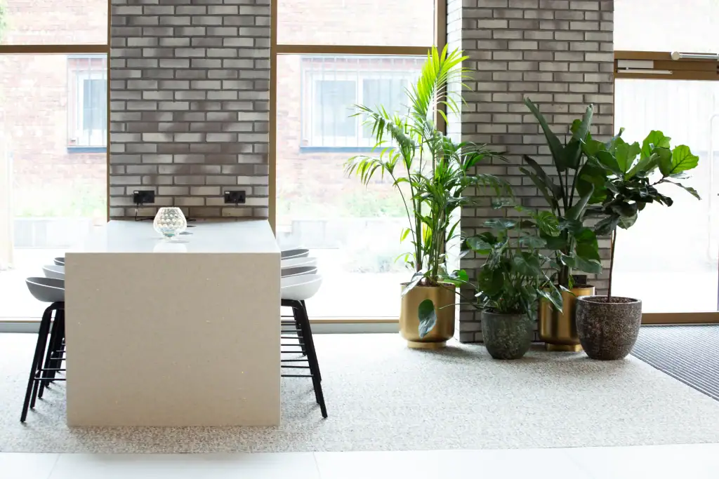 Bruntwood SciTech Base - Live Plants