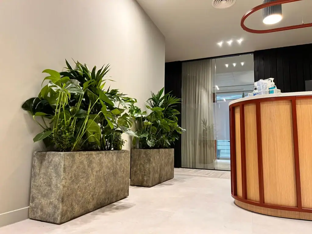 Grey Texture Trough Planting by i want plants