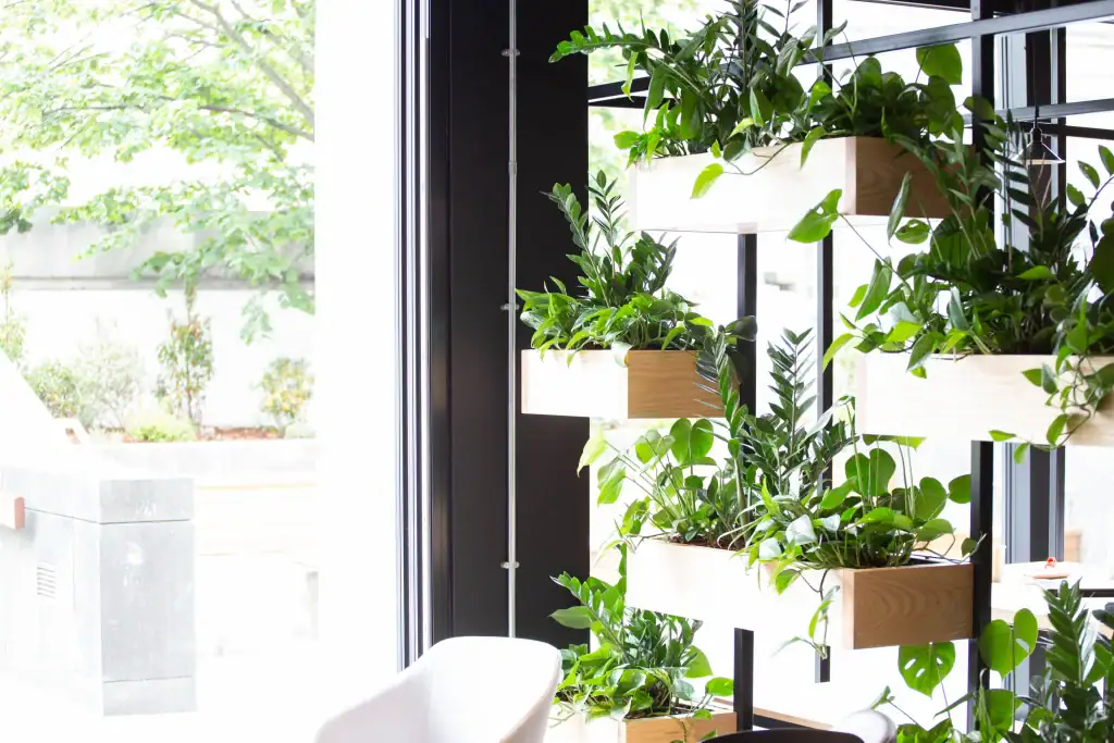 Live plants planted into open plan framework with wood planters