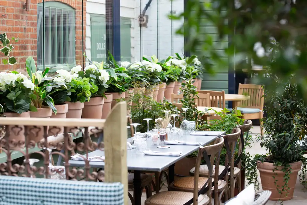 Plant displays in restaurant terrace area