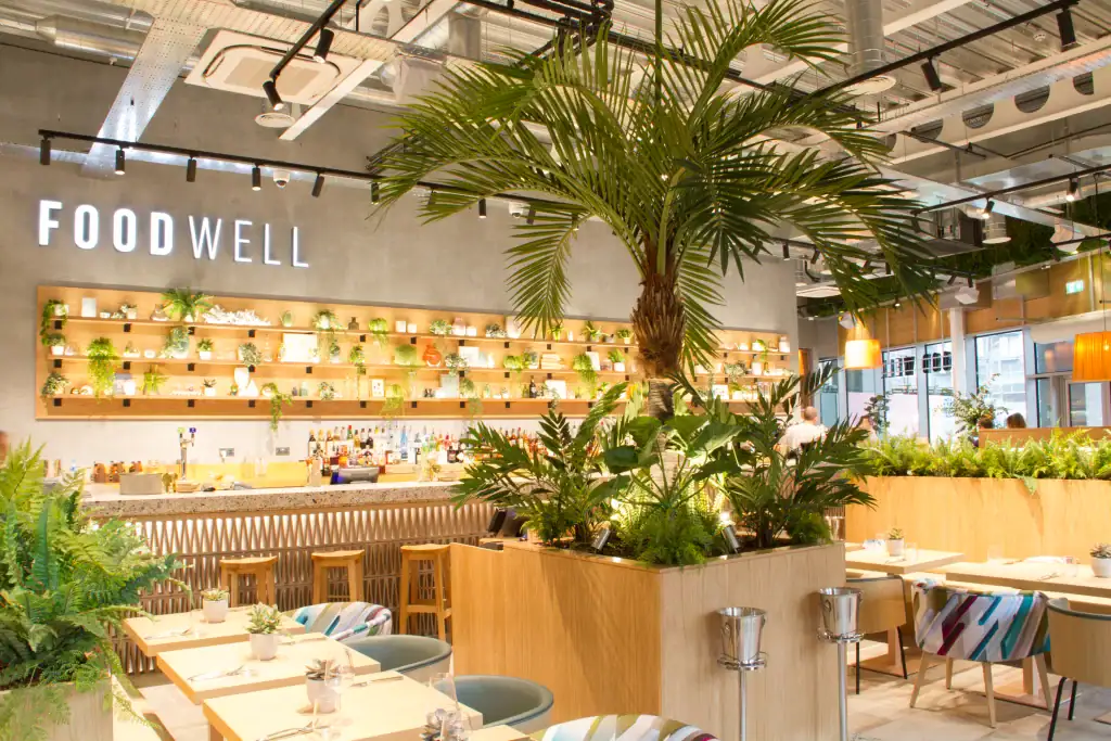 Hospitality plants by I Want Plants