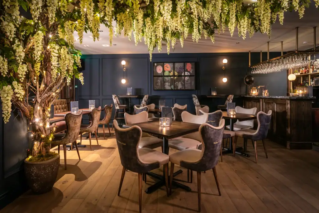 Lost & found Bristol trailing wisteria by I want plants