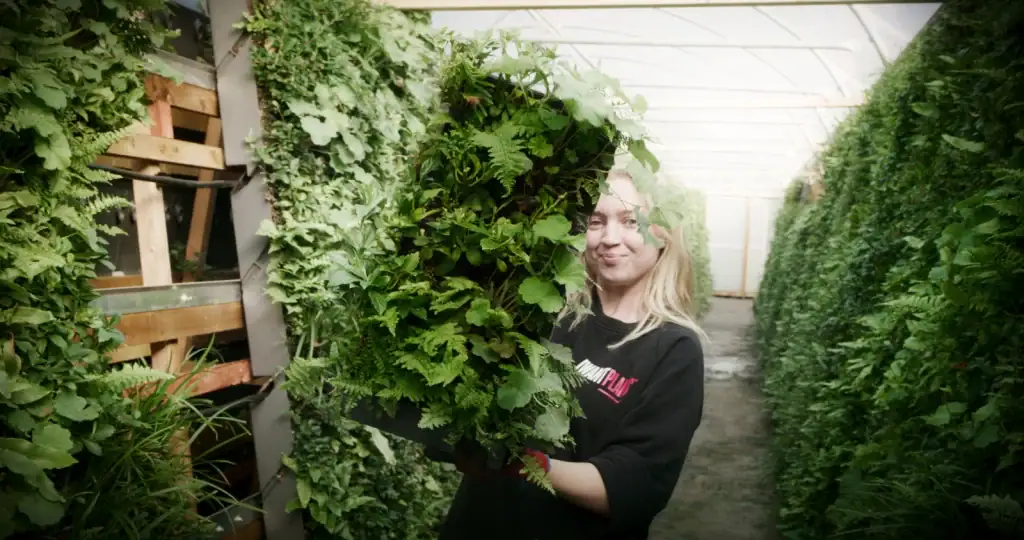I Want Plants nursery HYVERT Technician