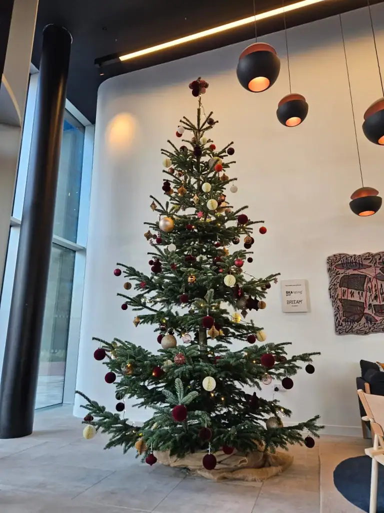 Live decorated Christmas tree at x+y manchester