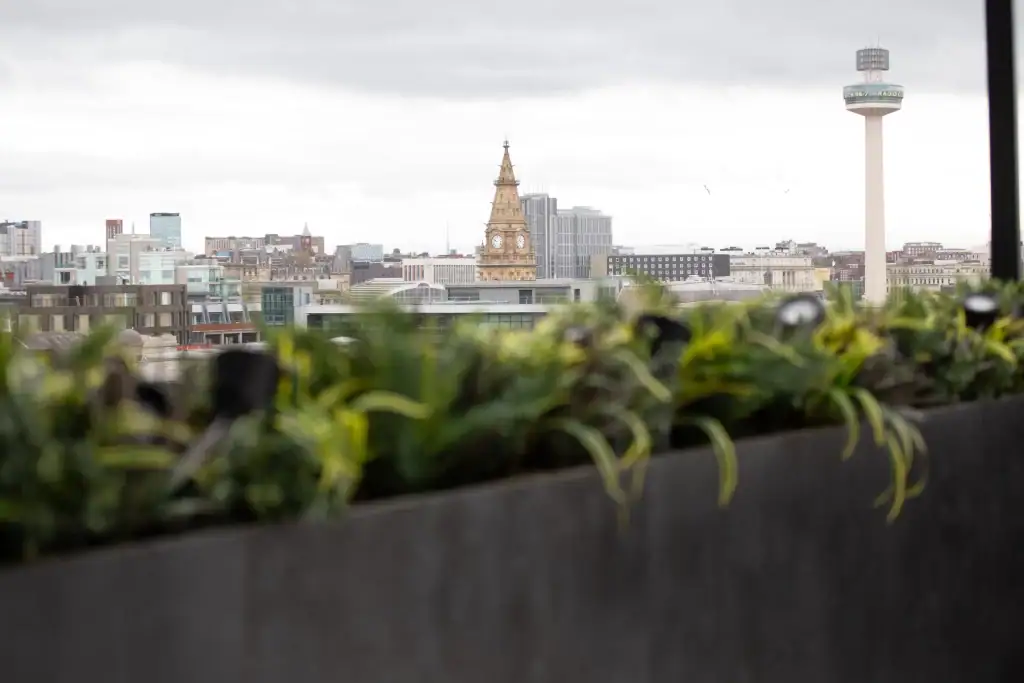 5 St Paul's Square roof top planting