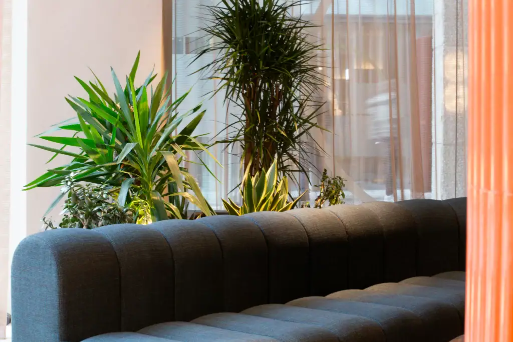 live planting displays to Bruntwood Plaza liverpool communal areas by i want plants