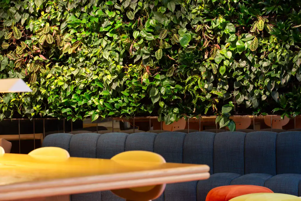 HYVERT living wall at Bruntwood the Plaza Liverpool