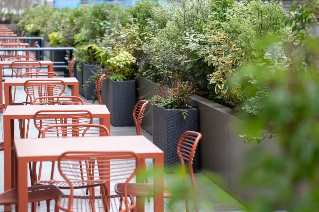 live plants in troughs at Plaza roof terrace Liverpool