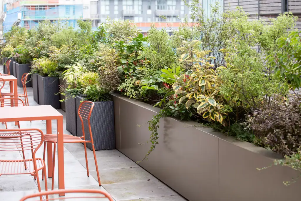live plants in troughs at Plaza roof terrace Liverpool