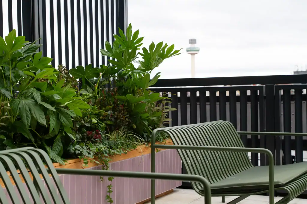 Exterior roof top planting at 5 St Paul's Square