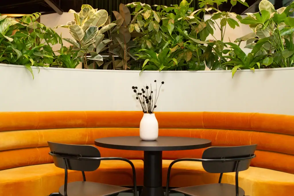 Live plants in build in troughs behind orange curved seating