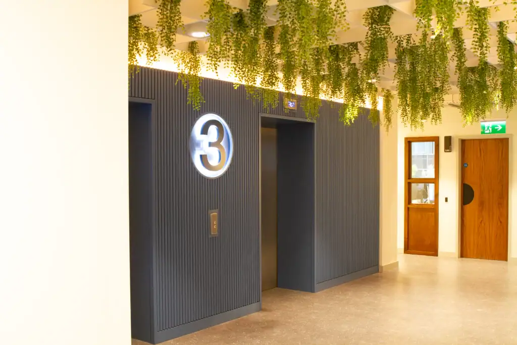 artificial ceiling hanging plants near lift area at plaza liverpool