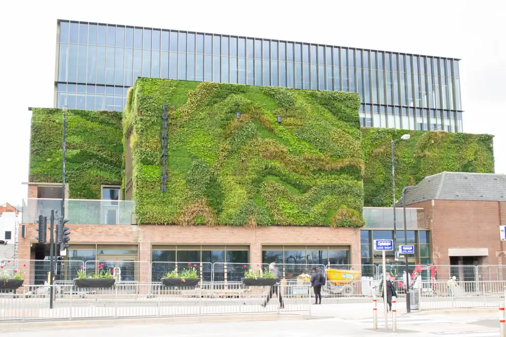 HYVERT living wall at Foundation Altrincham