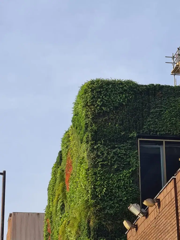 Close up of HYVERT living wall corner aspect