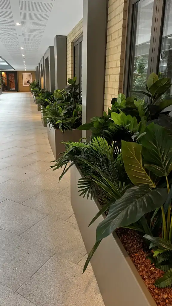 live plants in troughs at Horlicks Quarter