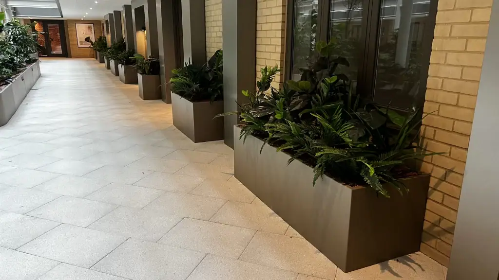 live plants in troughs at Horlicks Quarter