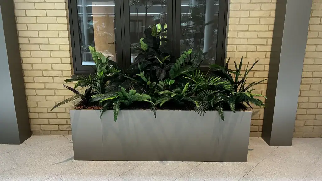 live plants in troughs at Horlicks Quarter