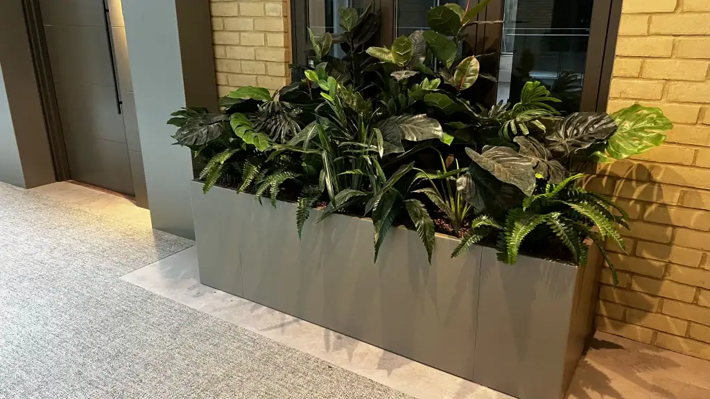 live plants in troughs at Horlicks Quarter