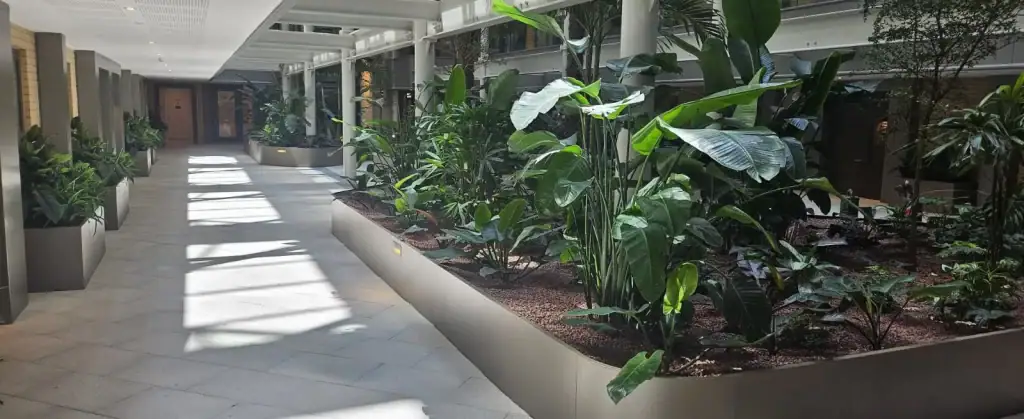 live plants at Horlicks Quarter for Berkeley Group