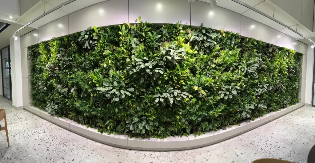 pano of internal HYVERT living wall in workspace