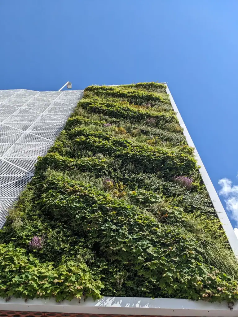 looking up at HYVERT living wall at Crewe Carpark